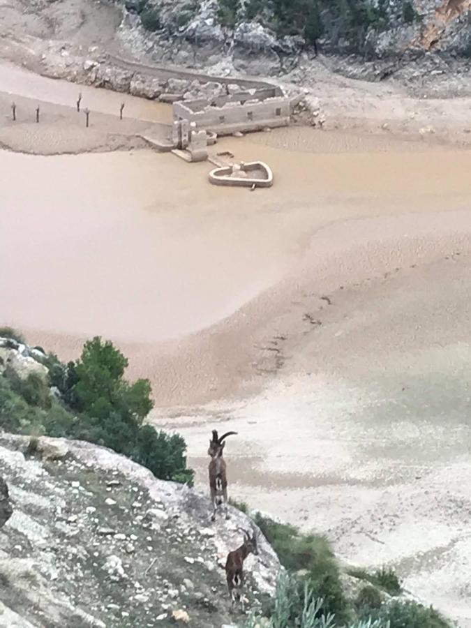 فيلا El Refugio De Chloe Villar de Ves المظهر الخارجي الصورة